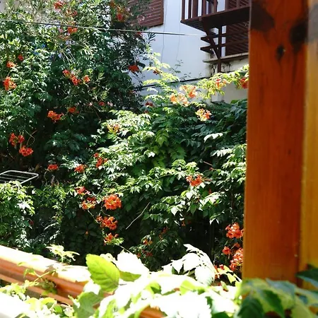 מלון Extreme Butik אקיאקה